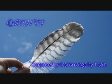 【オリジナル曲】心のツバサ