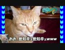【wlw】ぬこと不思議のわんわんにゃーん　P.005【サンドリ】