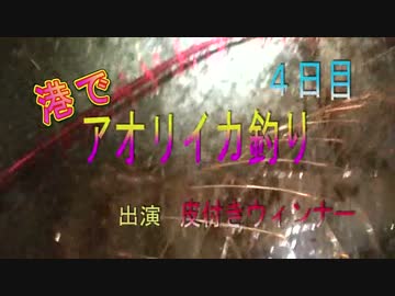 港でアオリイカ釣り ４日目&amp;予告