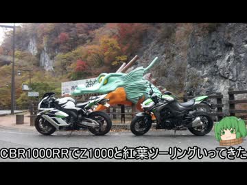 【CBR1000RR】Z1000と紅葉見にいってきた【ツーリング】