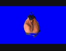 キンタマ袋型リュックBB.kitanai