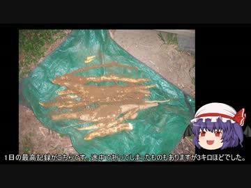 ゆっくり農民19ヤマイモを育ててみませんか？＃2