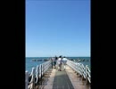 山下達郎【愛を描いて -LET'S KISS THE SUN- 】歌ってみた