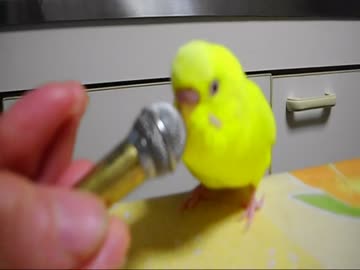 リポーター顔負けです