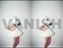 STOCKERS!／Vanish (2010 version)