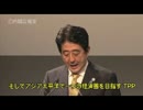 TPPは中国包囲網だって言っている反日ども、まだいるの？ｗｗ.mp4