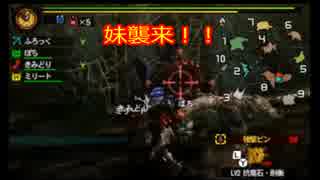 [MH4G]モンハン新作に備えてみた　part4