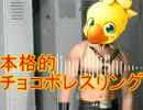 【ケツドラム】本格的チョコボレスリング