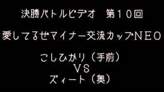 第１０回　愛してるぜマイナー交流カップＮＥＯ　決勝バトルビデオ