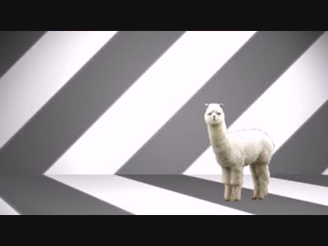 ミス・モノクロームED アルパカ向け