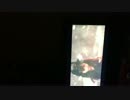 僕たちは戦わない／AKB４８