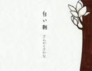 白い朝