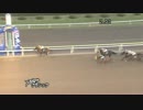 第15回ＪＢＣクラシック コパノリッキー