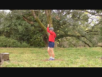 【梨恋】　愛Dee　踊ってみた　【太い】