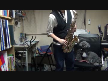 アルトサックスで「おそ松さんOP」を吹いてみた