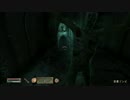 【オブリビオン】大して上手くない癖に酒気帯びでゲームしてみた【47】