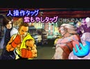 【MUGEN】人操作タッグで「紫もやし」タッグに挑んでみた 【P操作】