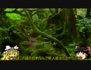 マリオメーカー問題について興味ないけど知りたい人のための動画