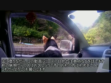 ２年目！新米猟師ハンターライフ導入回前編