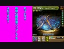 パズドラ　極限の闘技場１５分クリア【ネプドラ】