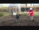 ２歳の息子が意外と強い