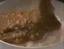 ホモと見るカレーのCM