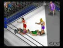 東方プロレス～東方闘魂記～八回目興業・第二試合【投コメ実況】