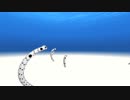 【５分耐久】チンアナゴに囲まれる動画【11月11日はチンアナゴの日】