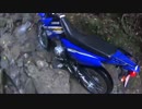XTZ125で近所の林道行ってきた