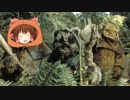 イウォーク神社.endor