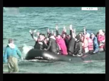 欧州に流入する難民が身分登録を拒む？EUが登録所に指紋登録の徹底警告