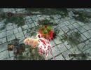 【ダークソウル２】趣味の死合１１
