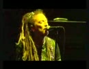 The Wildhearts - Caffeine Bomb (Live)