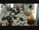 ＵＦＯキャッチャー ニャンコ先生ぬいぐるみを簡単にGETする技！！！