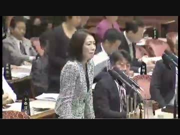 H27/11/11 参議院予算委員会・徳永エリ【甘利氏もあきれ顔】