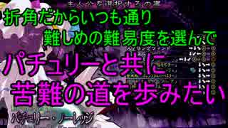 【実況】東方を2.5ミリも知らない僕が人生初弾幕ACTに挑戦【萃夢想】 3