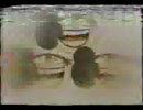 頭がおかしくなる動画　☆　m9（＾ワ＾）ドーン！