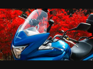 狛犬のGSR250S緩々旅～ダムツーリング編～第4回紅葉の山梨
