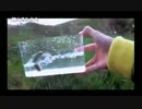 11.11こめ師【魚釣り】水槽に入れる魚釣り.mp4