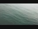 エギングタイムシフト20151109-2