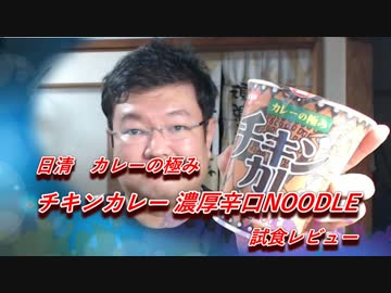 日清 カレーの極み チキンカレー濃厚辛口NOODLE 試食レビュー
