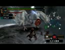 【実況】 今更モンハン2ndGを初見プレイ part10 -フルフル2/2-