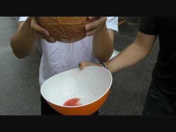 【まさかの結末】輪ゴムでスイカを搾ってジュースを作ってみた 【後半】