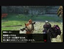 【実況】ＭＨ４Ｇ七つ道具実況プレイ　パート9オマケ