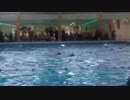 【疑似m@s】 Swimming School