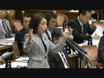 【UC】徳永エリ民主党ヤフーアクセストップニュース記念UC