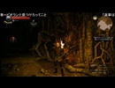 NGC『ウィッチャー３ ワイルドハント』生放送　第２５回 3/3
