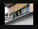 ロマンスの神様 広瀬香美　歌ってみた