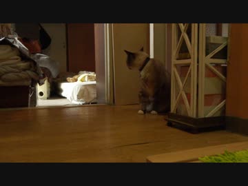 パパの入浴を邪魔したいジャンくん