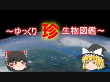 ～ゆっくり　珍　生物図鑑～　新・第16回